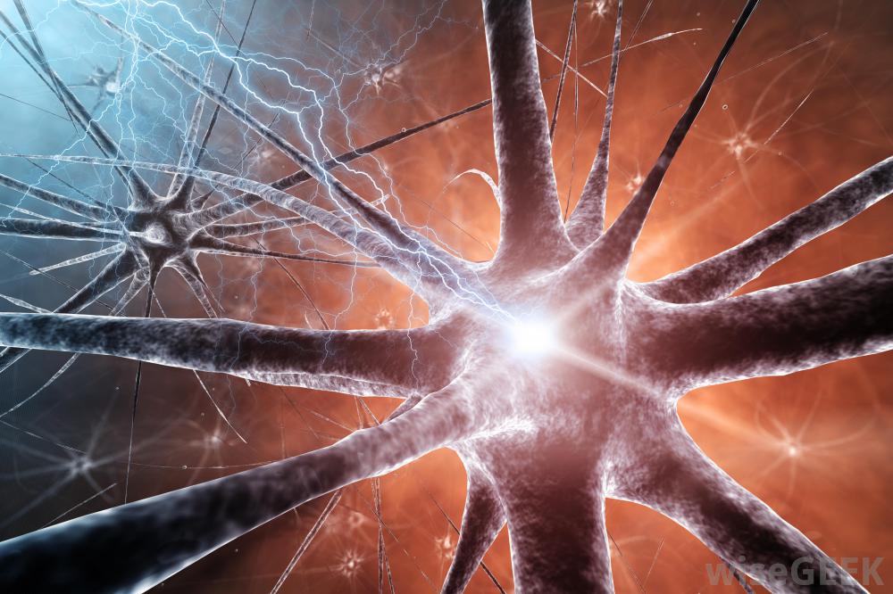 Neurotransmitters: They Key to Mental Health?